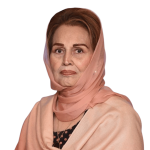 Farukh Khan - PML(Q)